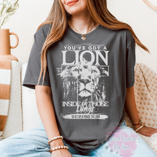 You've got a Lion